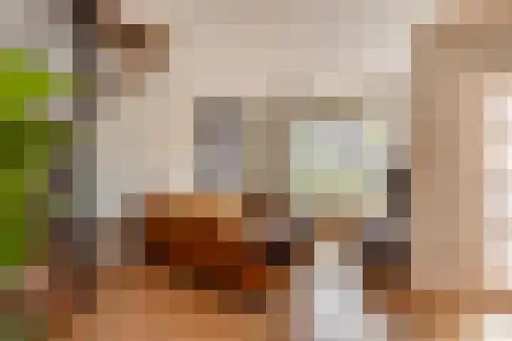 Zevensprong 26 Best thumbnail 10