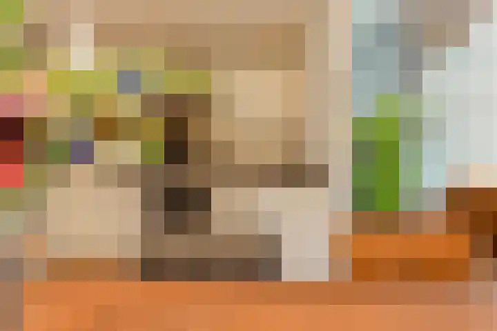 Zevensprong 26 Best thumbnail 14