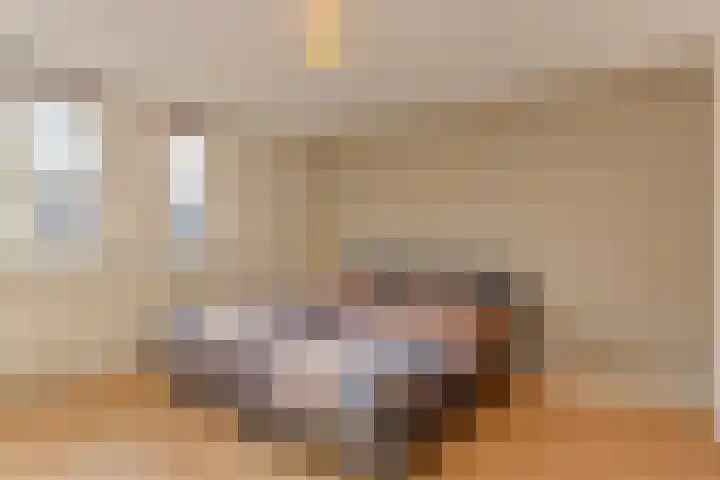 Zevensprong 26 Best thumbnail 18