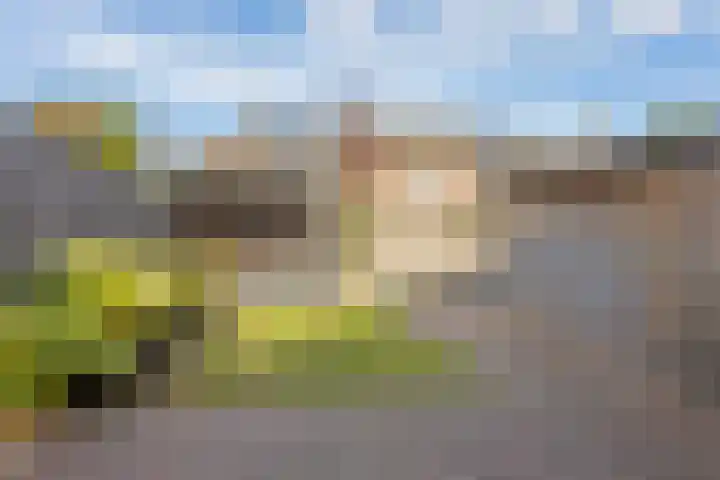 Zevensprong 26 Best thumbnail 25