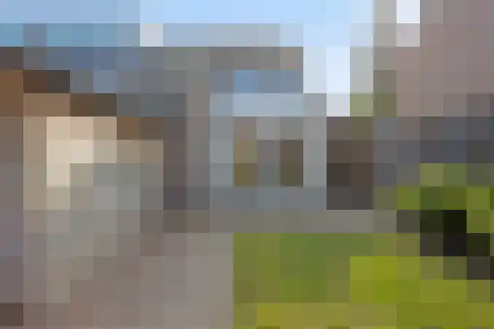 Zevensprong 26 Best thumbnail 26