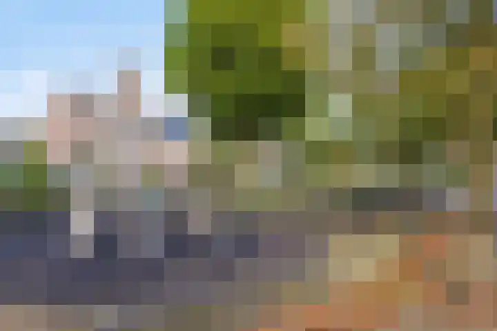 Zevensprong 26 Best thumbnail 27