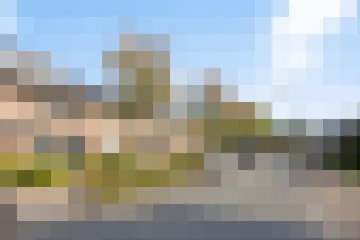 Zevensprong 26 Best thumbnail 28