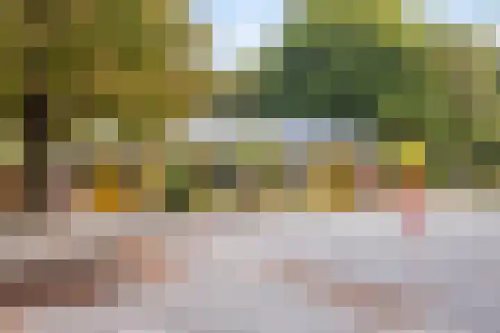 Zevensprong 26 Best thumbnail 30