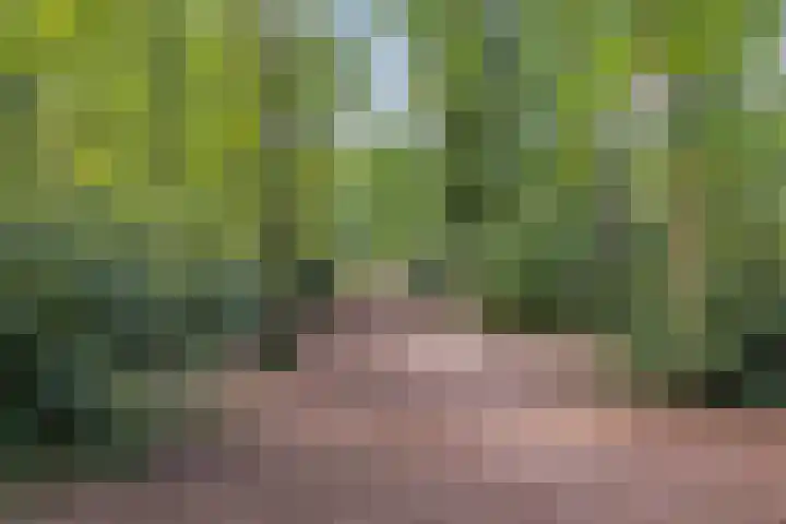 Zevensprong 26 Best thumbnail 31