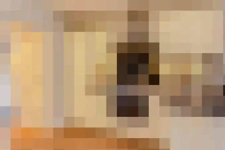 Zevensprong 26 Best thumbnail 4