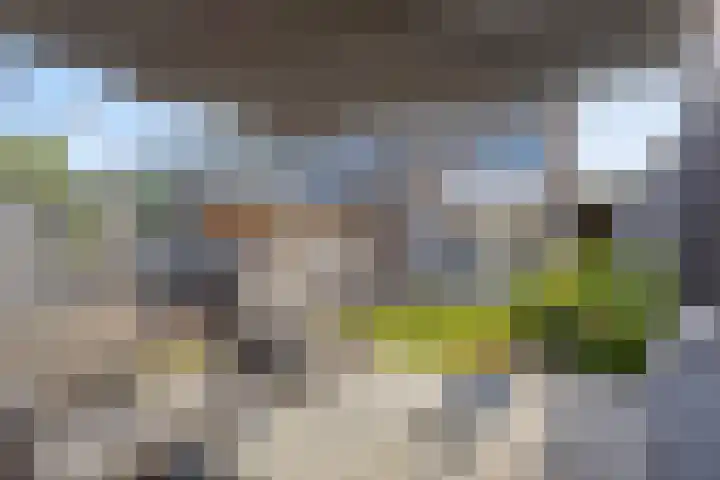 Zevensprong 26 Best thumbnail 5