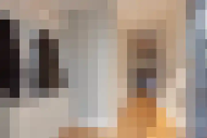 Zevensprong 26 Best thumbnail 7