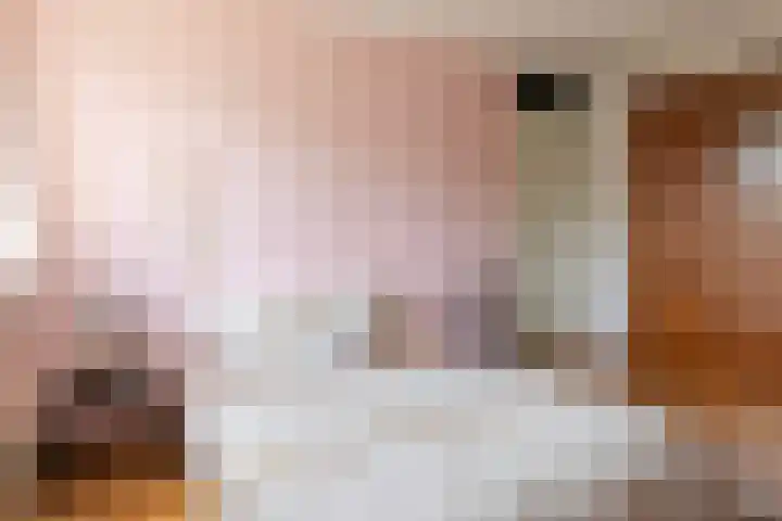 Zevensprong 28 Best thumbnail 13