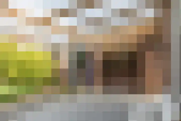 Zevensprong 28 Best thumbnail 25