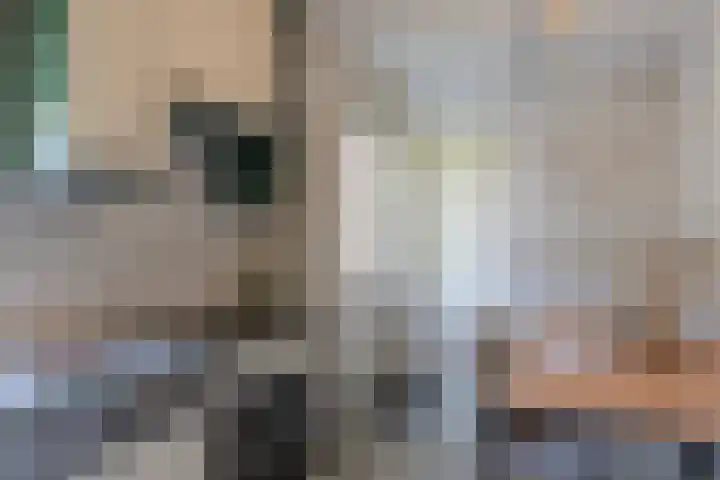 Zevensprong 28 Best thumbnail 8
