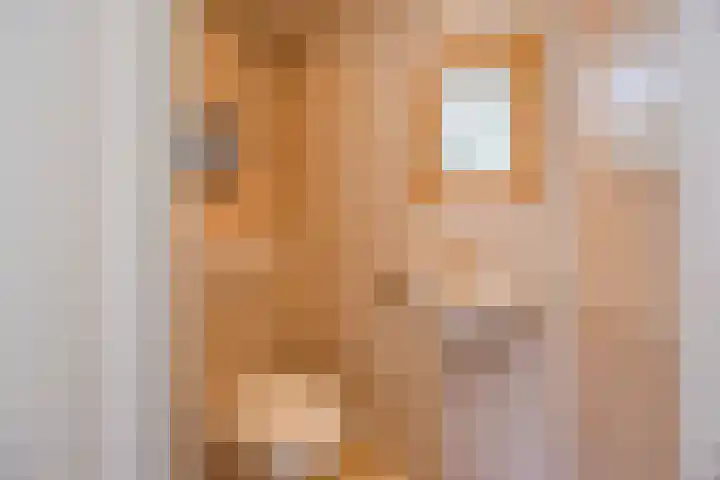 Zevensprong 63 Best thumbnail 12