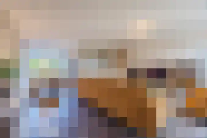 Zevensprong 63 Best thumbnail 13