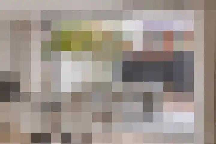 Zevensprong 63 Best thumbnail 17
