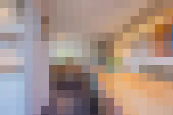 Zevensprong 63 Best thumbnail 17