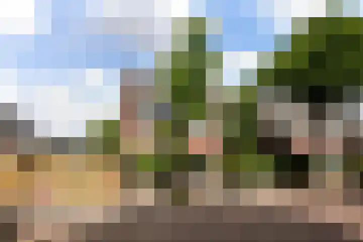 Zevensprong 63 Best thumbnail 19