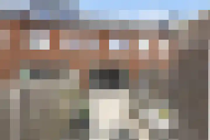 Zevensprong 63 Best thumbnail 21