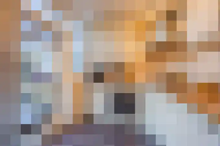 Zevensprong 63 Best thumbnail 21