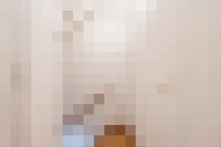 Zevensprong 63 Best thumbnail 22