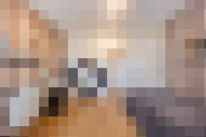 Zevensprong 63 Best thumbnail 26