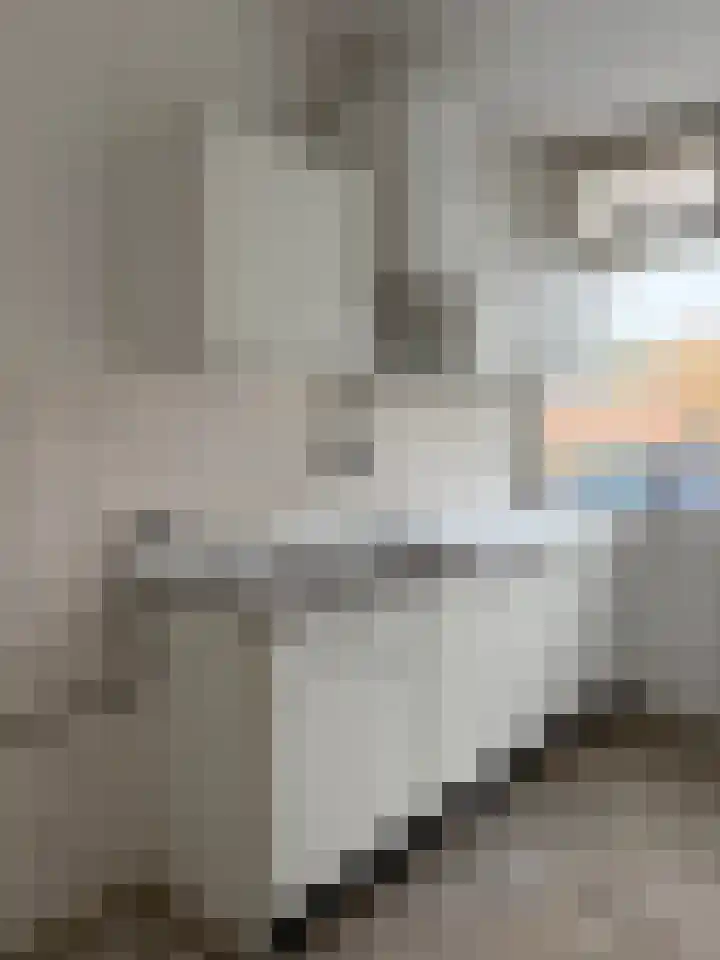 Zevensprong 63 Best thumbnail 29
