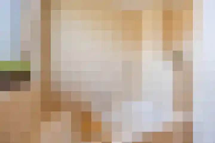Zevensprong 63 Best thumbnail 33