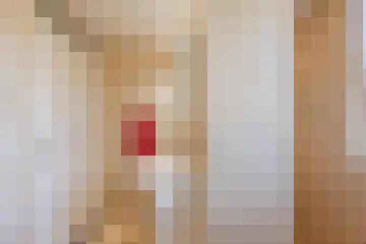 Zevensprong 63 Best thumbnail 34