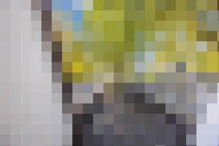 Zevensprong 63 Best thumbnail 38