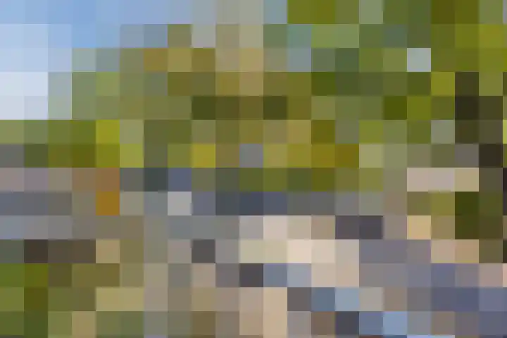 Zevensprong 63 Best thumbnail 39