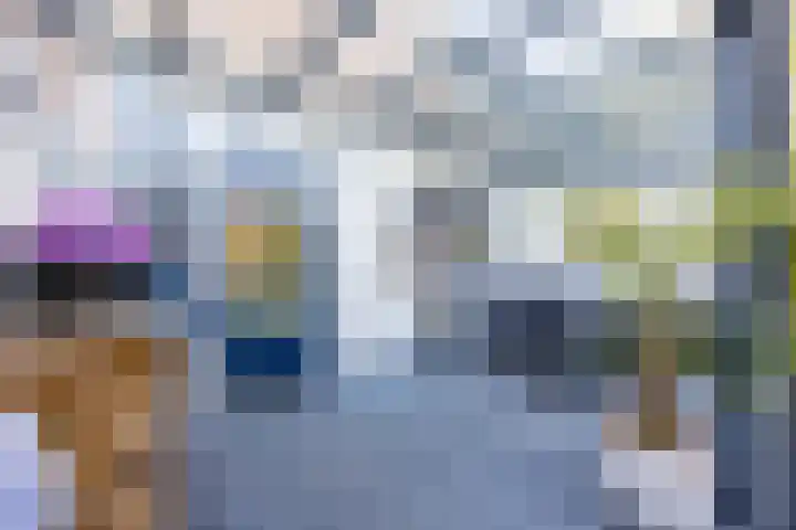 Zevensprong 63 Best thumbnail 41