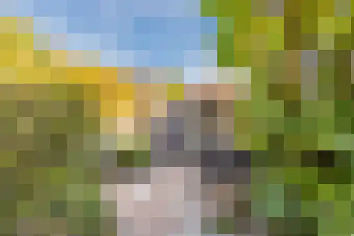 Zevensprong 63 Best thumbnail 45