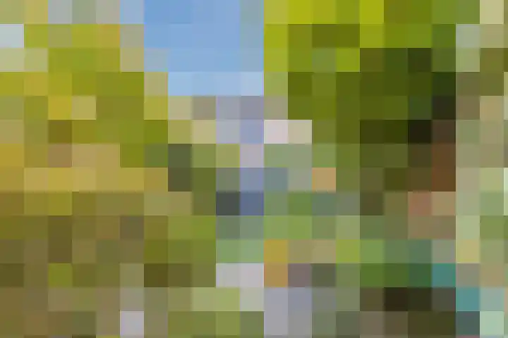 Zevensprong 63 Best thumbnail 47