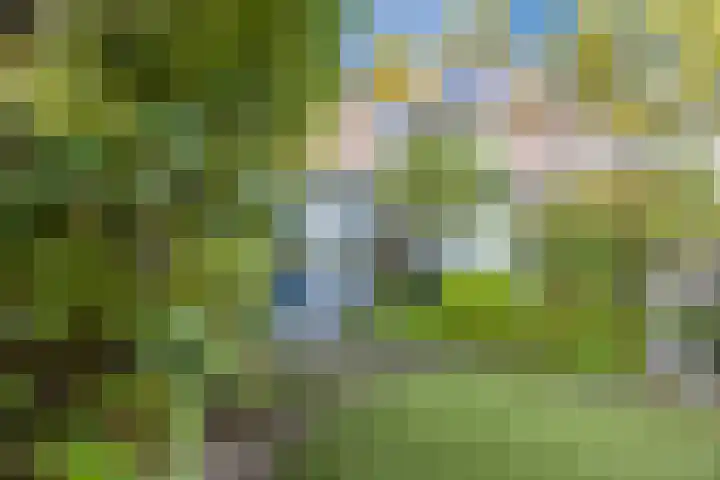 Zevensprong 63 Best thumbnail 48
