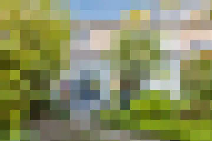 Zevensprong 63 Best thumbnail 49