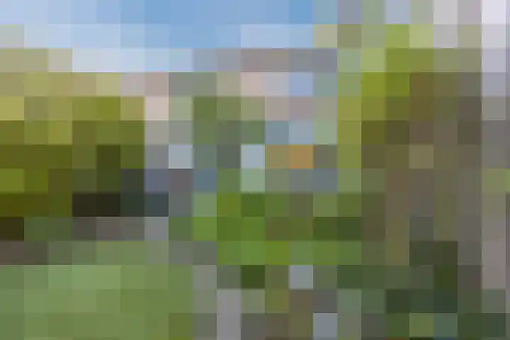 Zevensprong 63 Best thumbnail 5