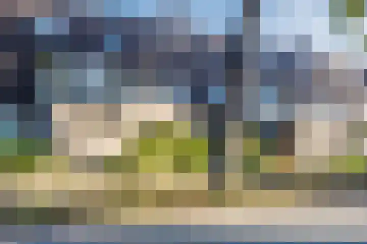 Zevensprong 63 Best thumbnail 7