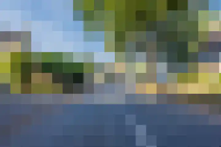 Zevensprong 63 Best thumbnail 8