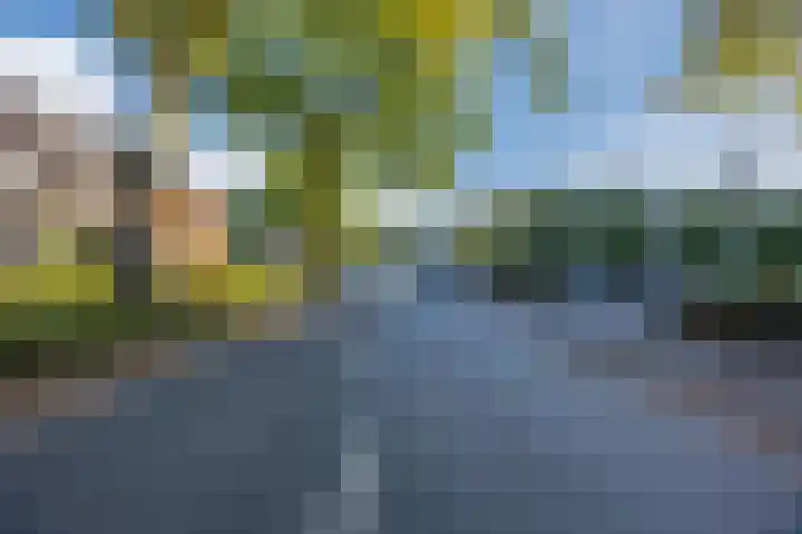 Zevensprong 63 Best thumbnail 9