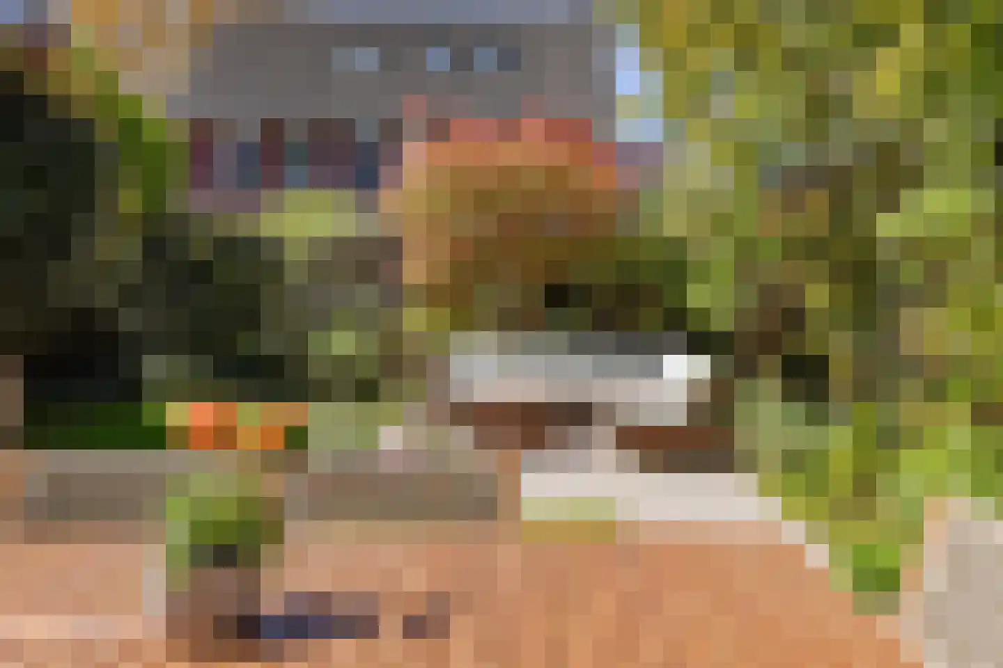 Zevenster 15 Hoorn thumbnail 42