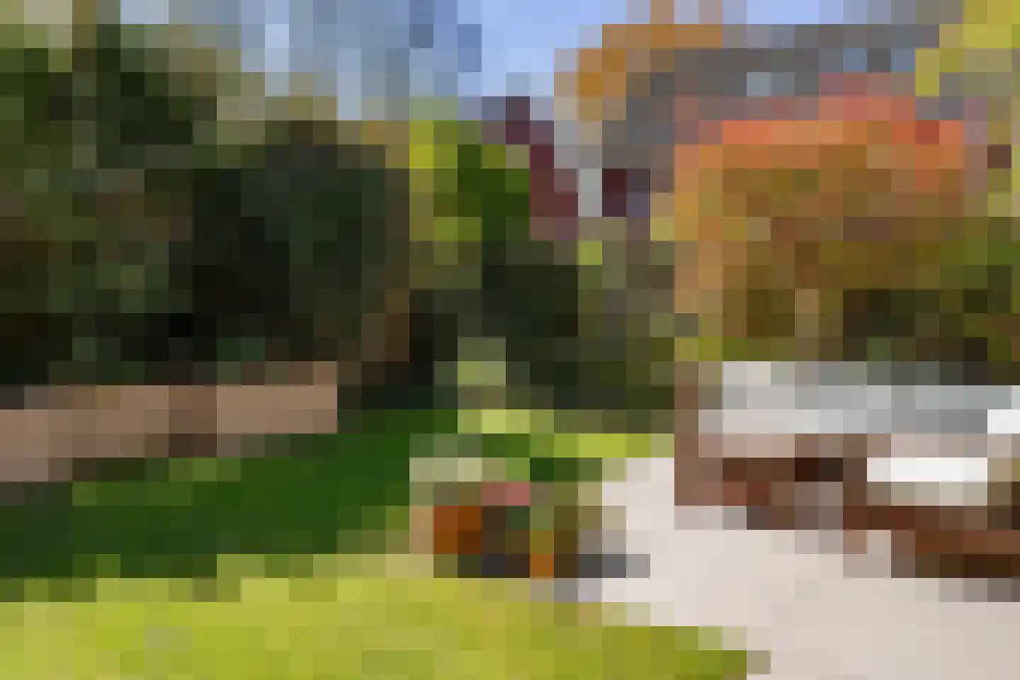 Zevenster 15 Hoorn thumbnail 43
