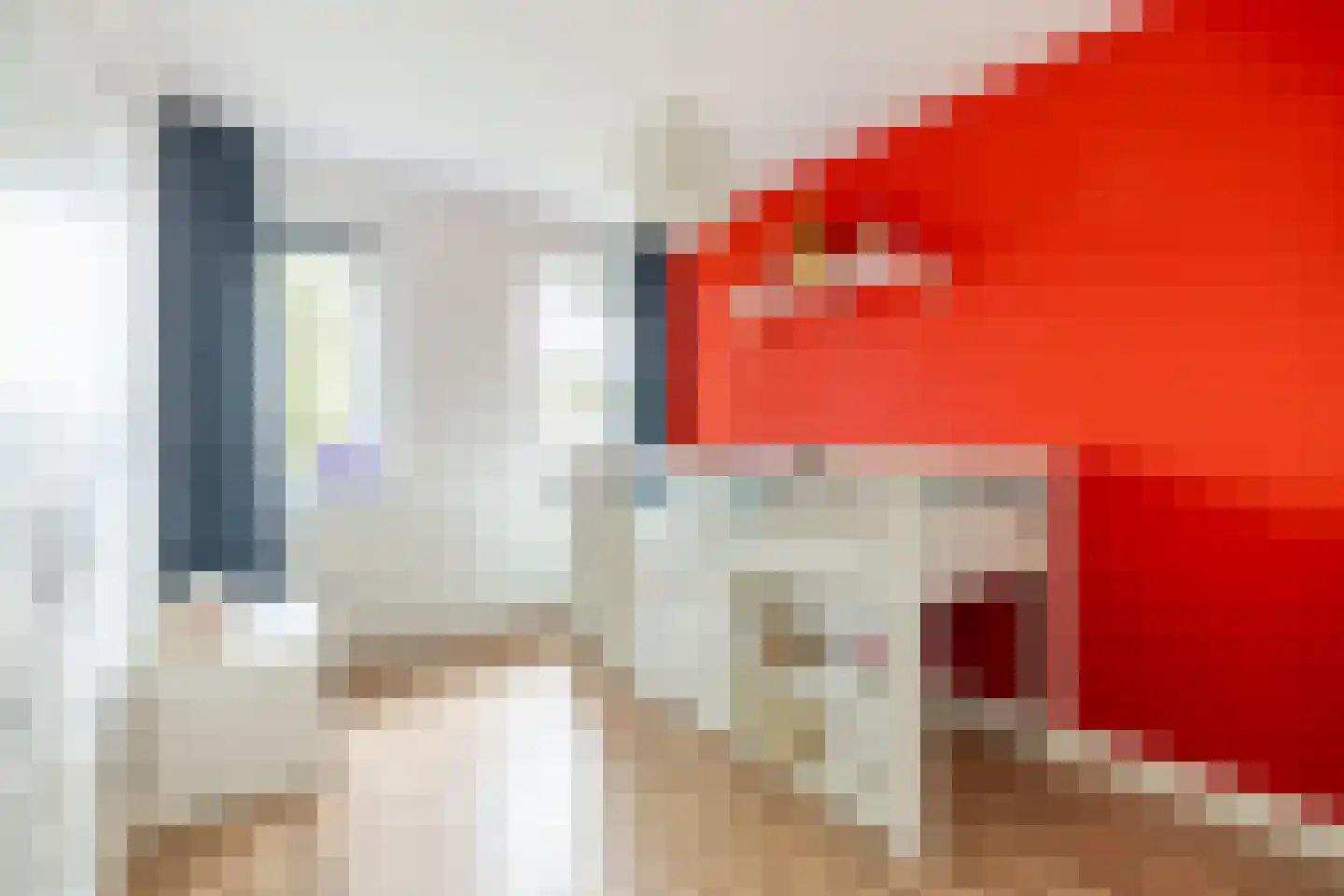 Zevenster 6 Hoorn thumbnail 28