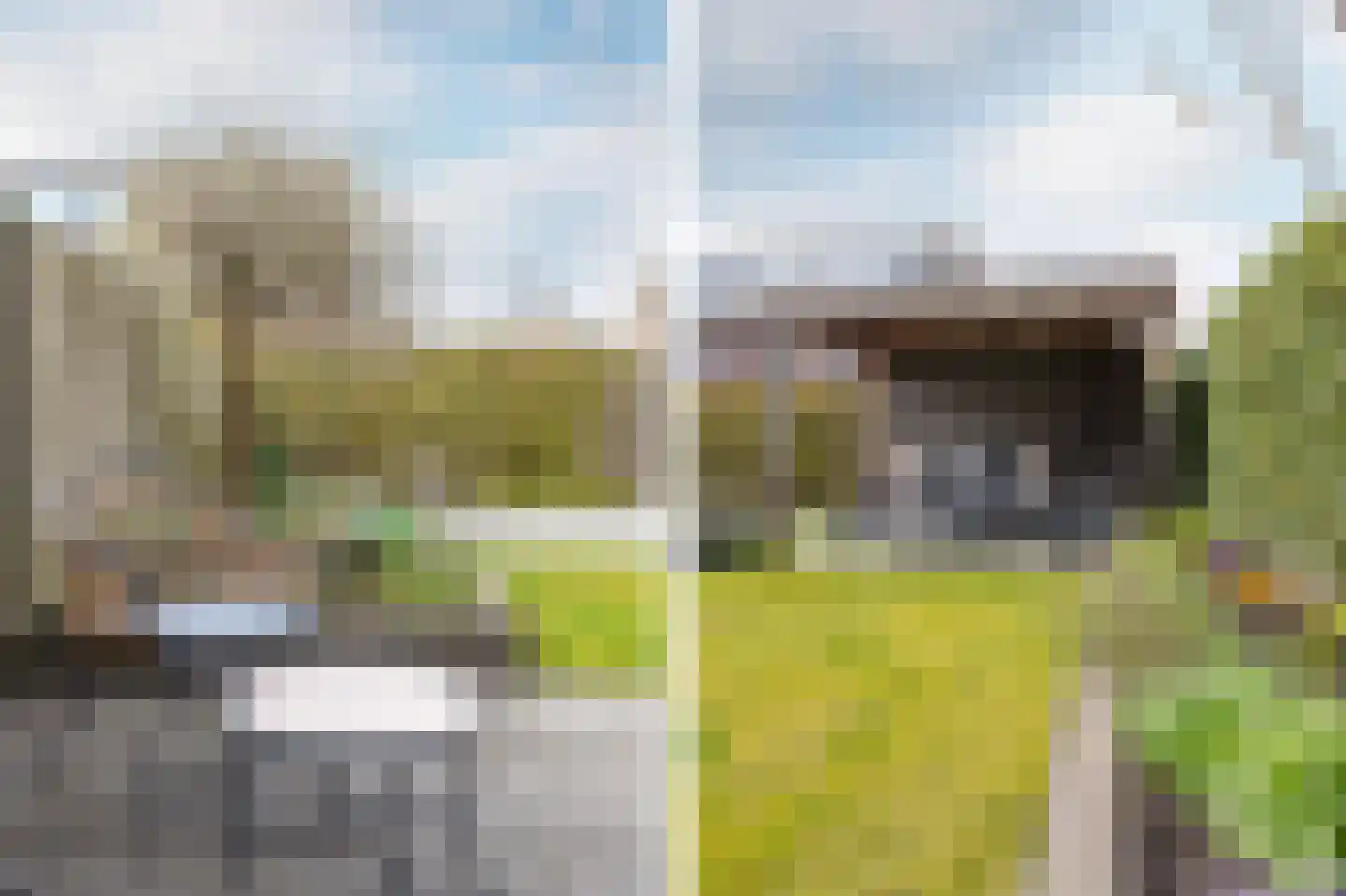Zevenster 6 Hoorn thumbnail 5
