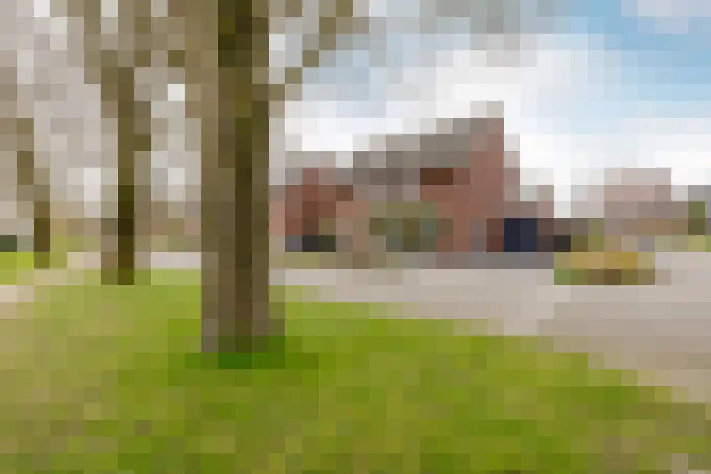 Zevenster 6 Hoorn thumbnail 6