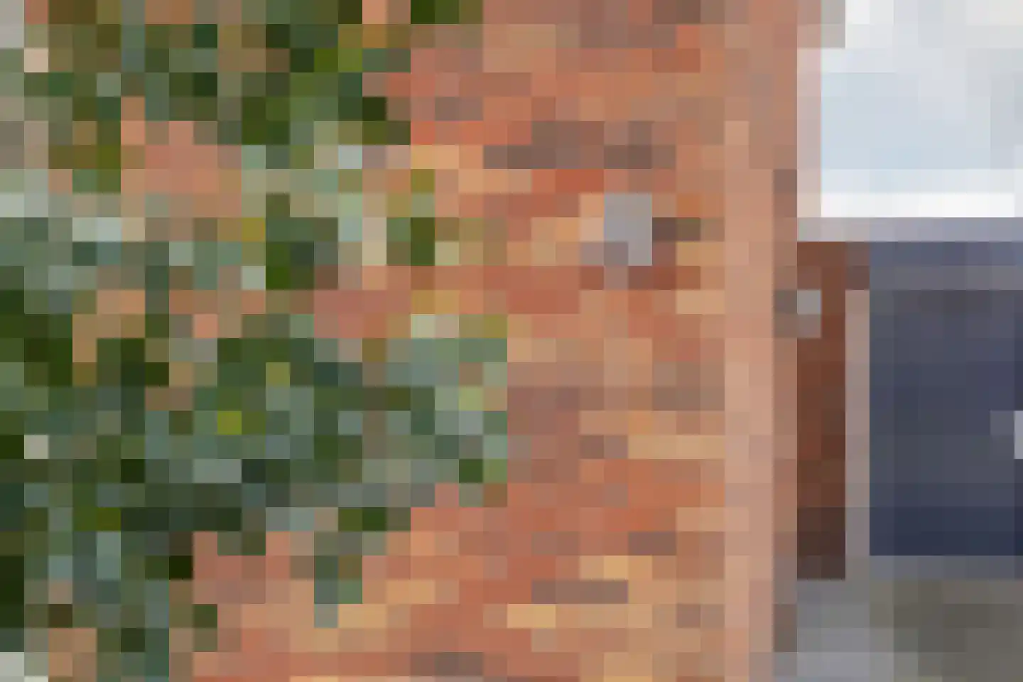 Zevenster 6 Hoorn thumbnail 9