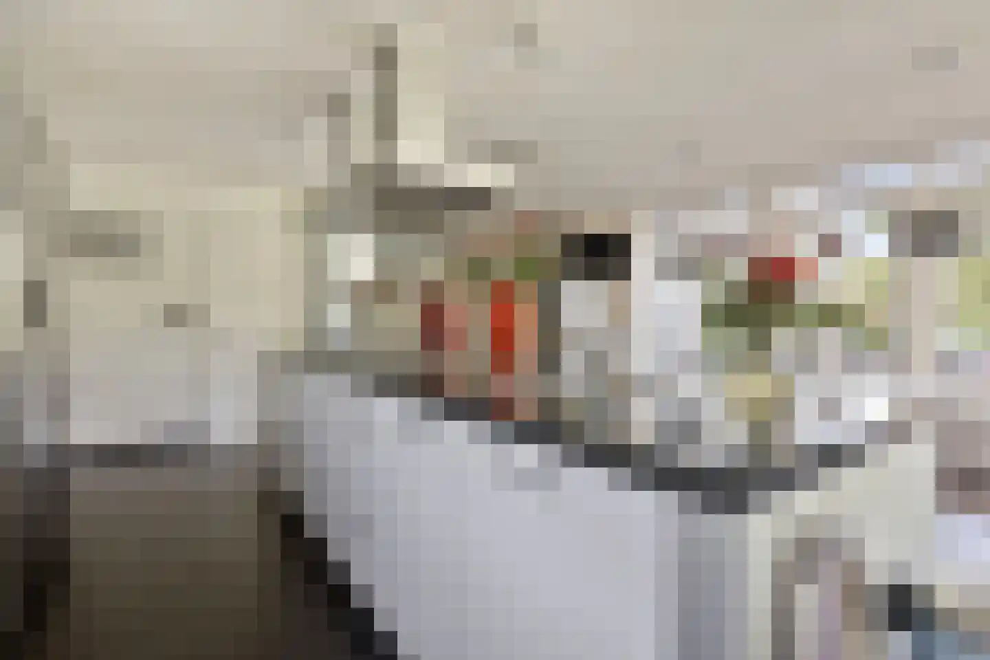 Zevenstersingel 1 Helmond thumbnail 18