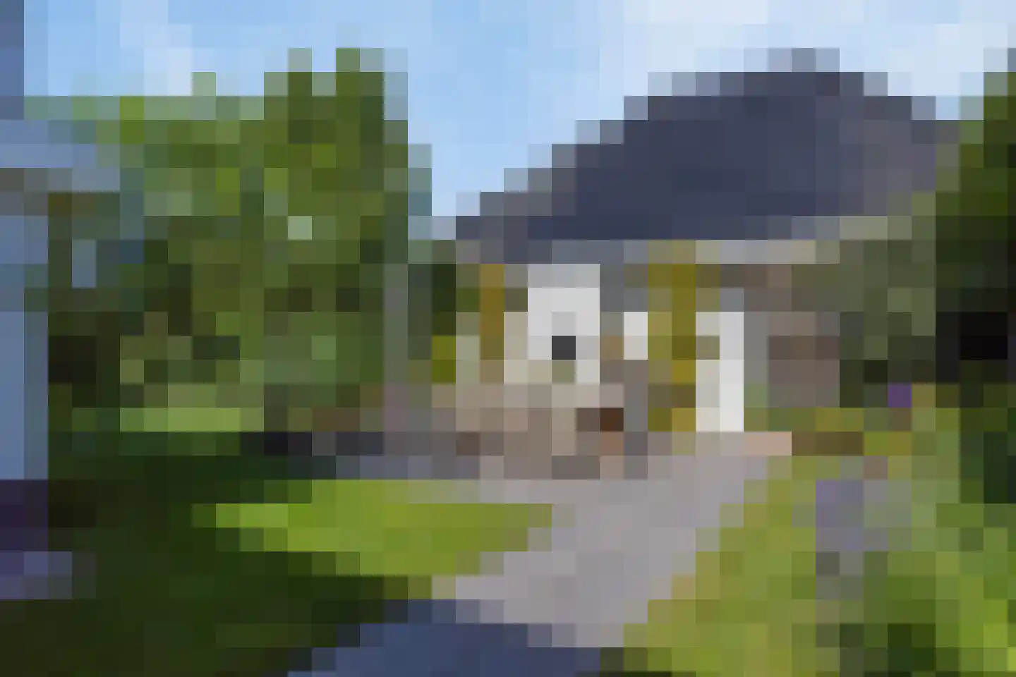 Zevenstersingel 1 Helmond thumbnail 45