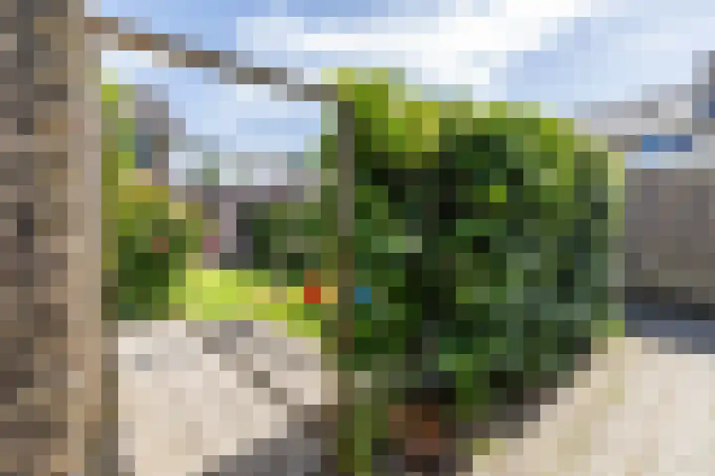 Zevensterstraat 40 Assen thumbnail 34