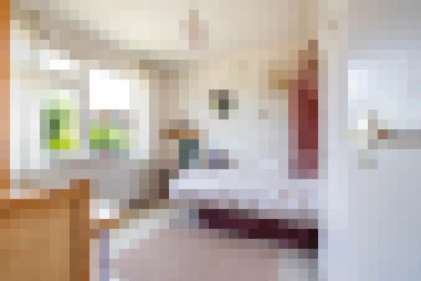 Zevensterstraat 40 Assen thumbnail 49