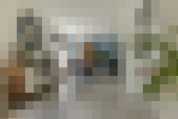 Zevenwoldsterweg 3 Meeden thumbnail 11