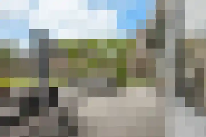 Zevenwoldsterweg 3 Meeden thumbnail 26
